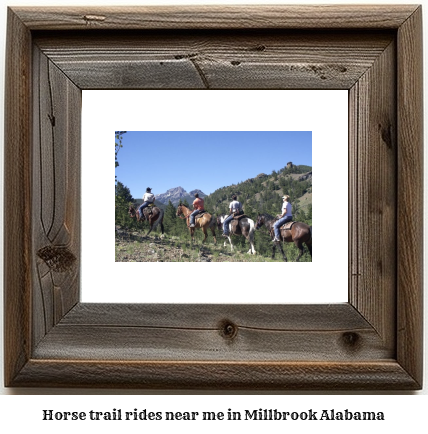 horse trail rides near me in Millbrook, Alabama